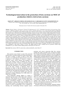 Technological innovation in the protection of beta carotene on