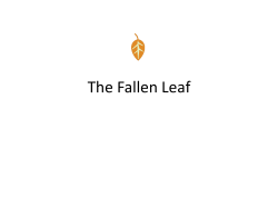 The Fallen Leaf - Nechako White Sturgeon Recovery Initiative