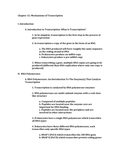 Chapter 12: Mechanisms of Transcription I. Introduction A