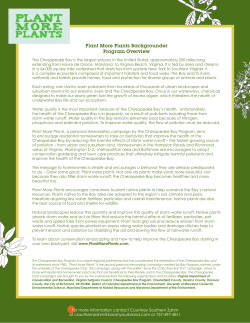 Plant More Plants Backgrounder Program Overview