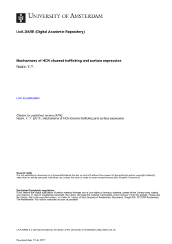 Mechanisms of HCN channel trafficking and surface expression