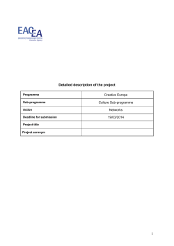 Detailed description of the project