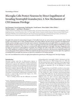 Microglia Cells Protect Neurons by Direct Engulfment of Invading