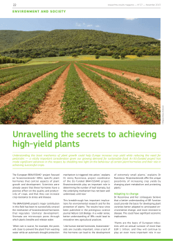 Unravelling the secrets to achieving high