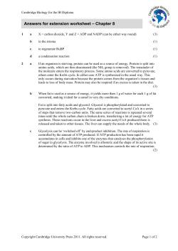 Answers for extension worksheet &ndash; Chapter 8