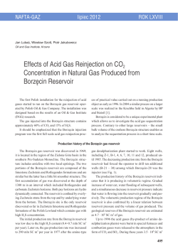 Effects of Acid Gas Reinjection on CO2 Concentration in Natural