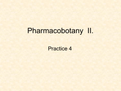 PHARMACOBOTANY 2_Practice5