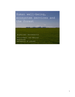 Sustainable Energy Development and Energy Security: what does