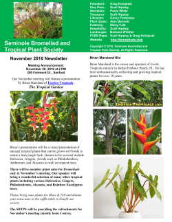Seminole Bromeliad and Tropical Plant Society