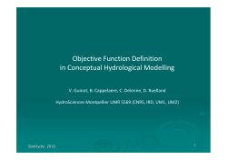 Objective Function Definition in Conceptual Hydrological Modelling