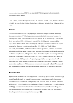 M. tuberculosis whiB1