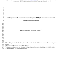 Switching of metabolic programs in response to light availability is