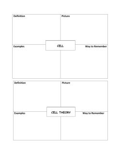 Definition Picture Examples Way to Remember