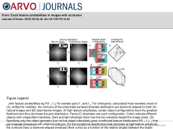 Slide - Journal of Vision