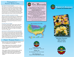 Hawaiian Plumeria FREQUENTLY ASKED QUESTIONS