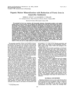 Organic Matter Mineralization withReduction of