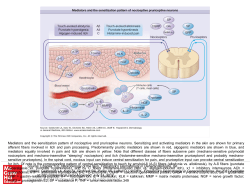 Slide 1 - AccessMedicine