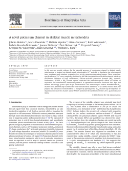 A novel potassium channel in skeletal muscle mitochondria