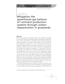 Mitigation the greenhouse gas balance of ruminant production