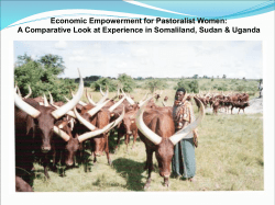 - Future Agricultures Consortium