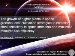 The growth of higher plants in space greenhouses