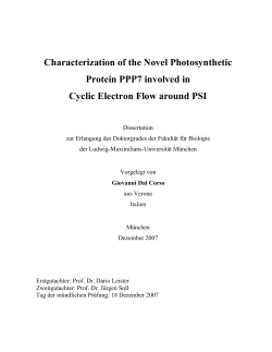 Characterization of the Novel Photosynthetic Protein PPP7 involved