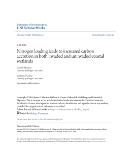 Nitrogen loading leads to increased carbon accretion in both