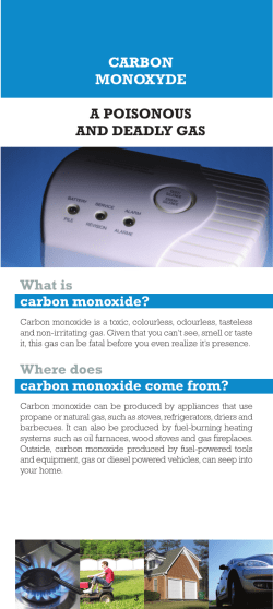 CARBON MONOXYDE A POISONOUS AND DEADLY GAS What is