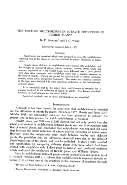 THE ROLE OF MOLYBDENUM IN NITRATE REDUCTION IN