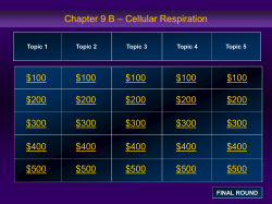 Jeopardy