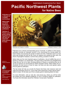 Pacific Northwest Plants for Native Bees