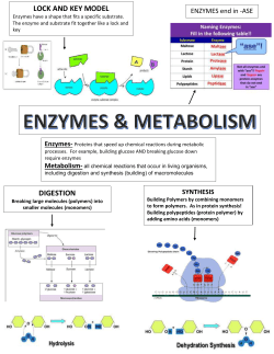 Enzyme Unit