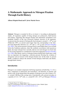 A Mathematic Approach to Nitrogen Fixation Through Earth History
