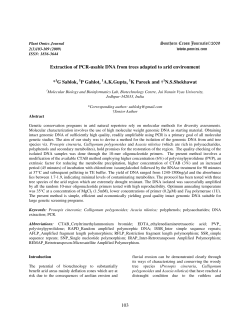 103 Extraction of PCR-usable DNA from trees adapted
