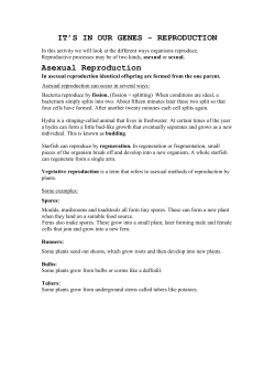 Asexual Reproduction