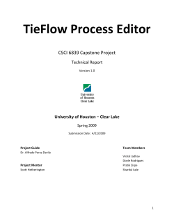 TieFlow Process Editor - University of Houston
