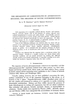 THE BREAKDOWN OF CARBOHYDRATES BY