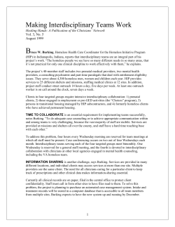 Making Interdisciplinary Teams Work