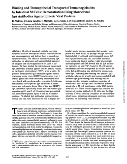 Binding and Transepithelial Transport of Immunoglobulins by