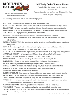 2016 Early Order Tomato Plants