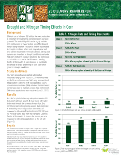 Drought and Nitrogen Timing Effects in Corn