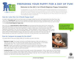 preparing your puppy for a day of fun!