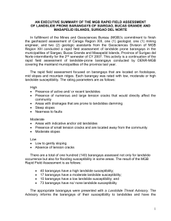 SDN_Executive Summary_island