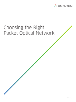 Choosing the Right Packet Optical Network