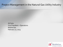 P &ndash; Gas Distribution Pipeline Integrity