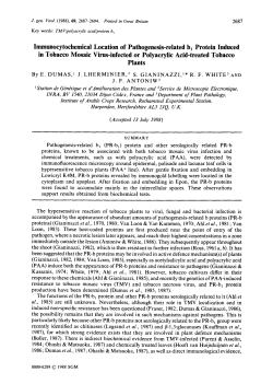 Immunocytochemical Location of Pathogenesis