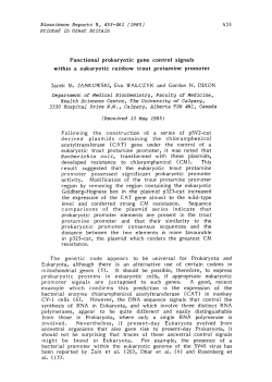 Functional prokaryotic gene control signals within a eukaryotic