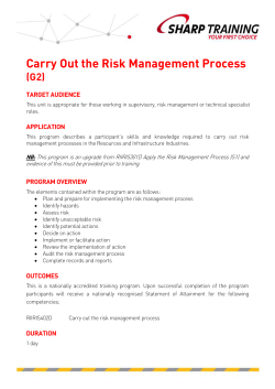Carry Out the Risk Management Process