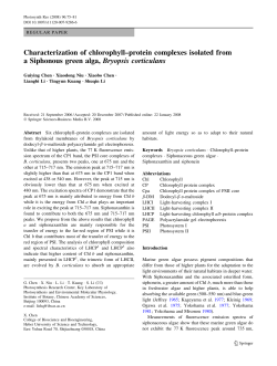 Characterization of chlorophyll&ndash;protein complexes isolated from a