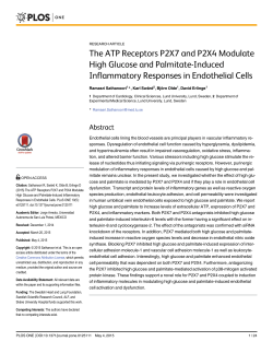 The ATP Receptors P2X7 and P2X4 Modulate High Glucose